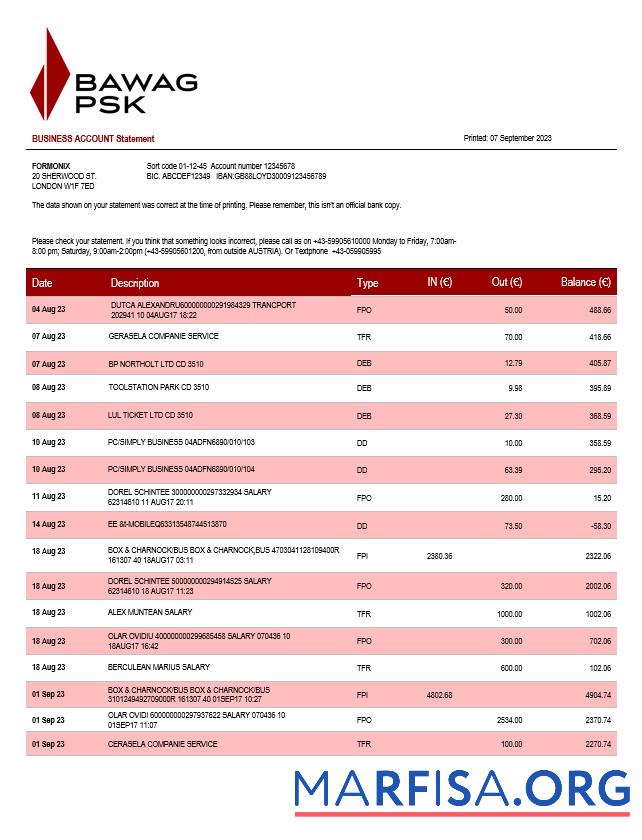 Downloadable BAWAG PSK Bank firm account statement Word and PDF template